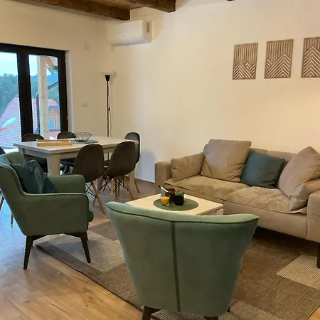 Brvnara Sapat Borova Tara