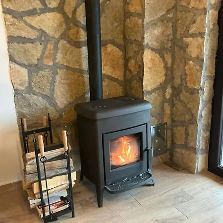 Brvnara Sapat Borova Tara Dom wakacyjny