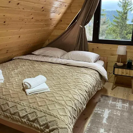 Dom wakacyjny Brvnara Sapat Borova Tara