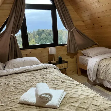 Brvnara Sapat Borova Tara Dom wakacyjny Sekulic