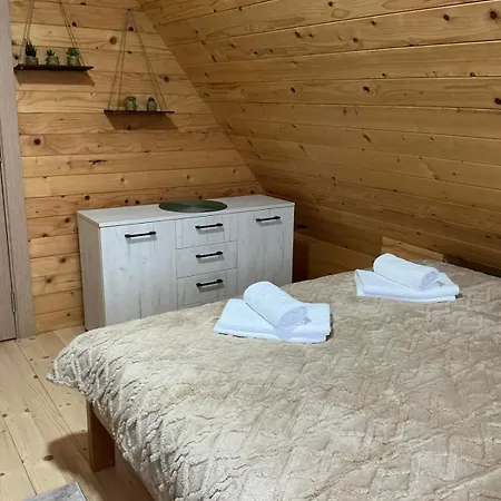 Brvnara Sapat Borova Tara Dom wakacyjny