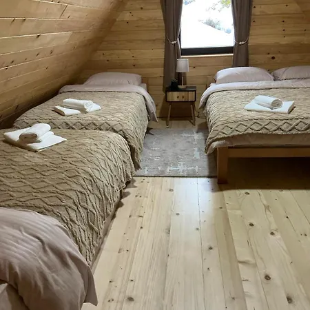 Brvnara Sapat Borova Tara Dom wakacyjny *