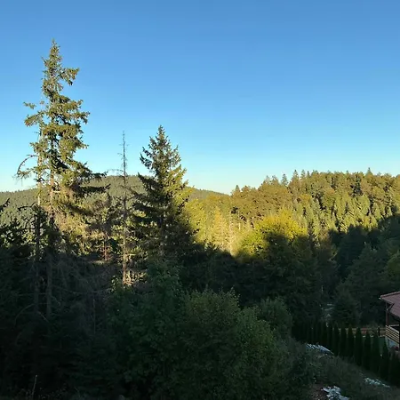 Brvnara Sapat Borova Tara Casa vacanze *