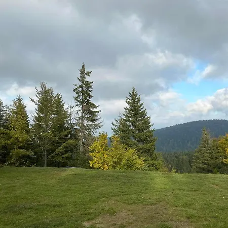 Brvnara Sapat Borova Tara Dom wakacyjny *