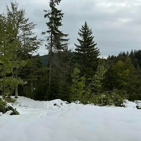 Brvnara Sapat Borova Tara Dom wakacyjny *