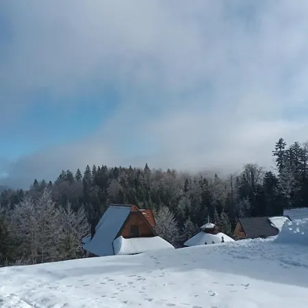 Brvnara Sapat Borova Tara Casa vacanze Sekulic