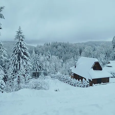 Brvnara Sapat Borova Tara Casa vacanze Sekulic