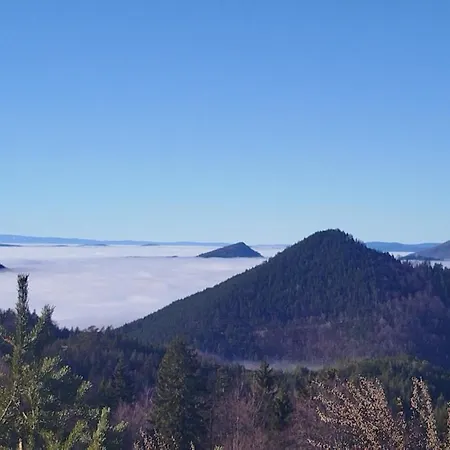 Brvnara Sapat Borova Tara Casa vacanze Sekulic
