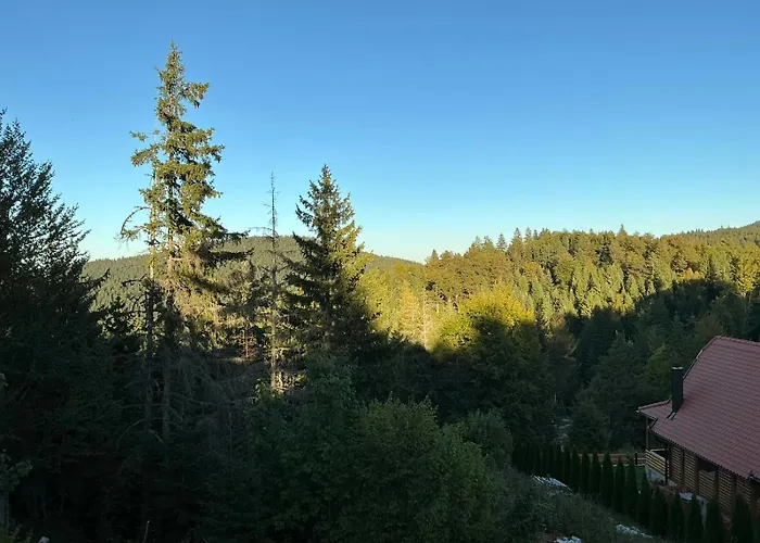 Brvnara Sapat Borova Tara Casa vacanze *