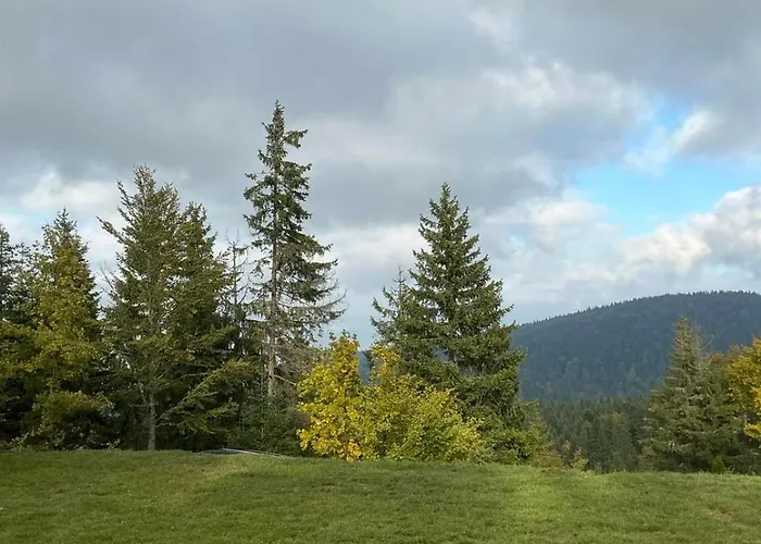 Brvnara Sapat Borova Tara Casa vacanze *