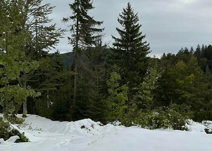 Brvnara Sapat Borova Tara Casa vacanze *