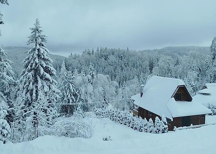 Brvnara Sapat Borova Tara Casa vacanze Sekulic