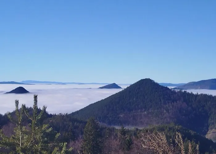 Brvnara Sapat Borova Tara Casa vacanze Sekulic